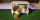 Sondermodell - 00011