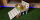 Sondermodell - 00014