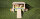 Sondermodell - 00026