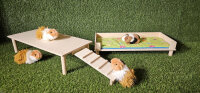 Sondermodell - 00029