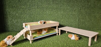 Sondermodell - 00031