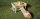 Sondermodell - 00034