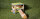 Sondermodell - 00035