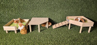 Sondermodell - 00049
