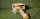 Sondermodell - 00073