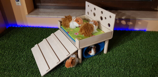 Meerschweinchenhaus Luxus Lodge